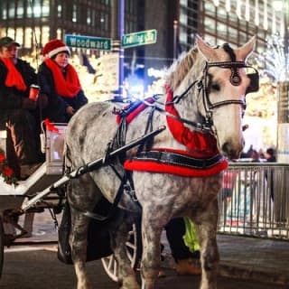Carriage Ride in Central Park (VIP - PRIVATE) Since 1964™
