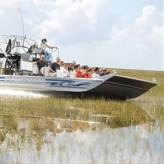 Florida Everglades Airboat Adventure and Wildlife Encounter