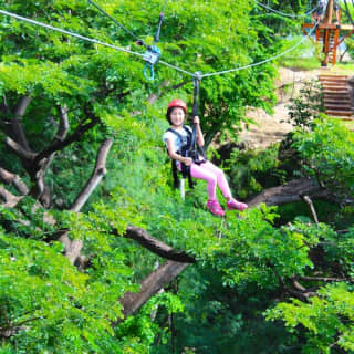 Coral Crater Park: Zipline Adventure