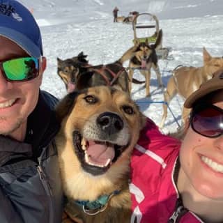 Dog Sledding Adventure in Willow, Alaska