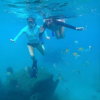 Blue Heron Bridge Guided Snorkel Tour 