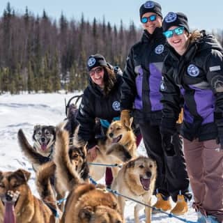 Dog Sledding Adventure in Willow, Alaska