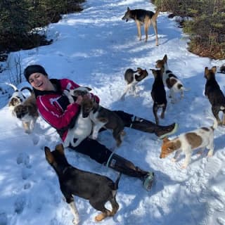 Dog Sledding Adventure in Willow, Alaska