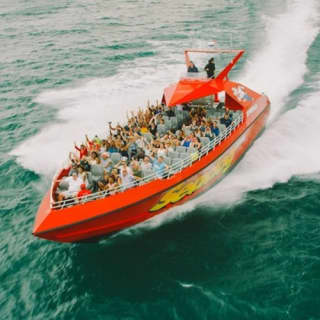 Chicago Seadog: Lakefront Speedboat Tour