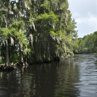  Everglades Airboat Tour near Orlando Florida