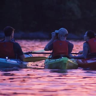 Nickajack Bat Cave Kayak Tour with Chattanooga Guided Adventures