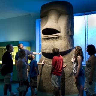 The American Museum of Natural History