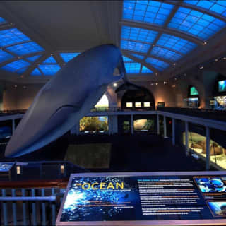 The American Museum of Natural History