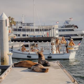 Luxury E-Boat Cruise with Wine, Charcuterie & Sea Lions Spotting