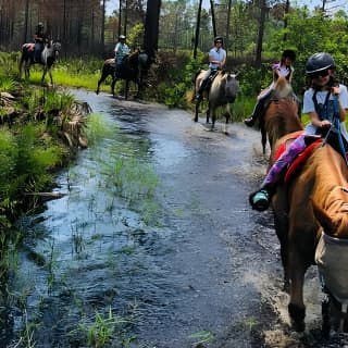 Horseback Ride on Scenic Lake Louisa Trails