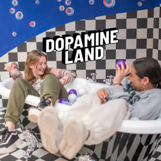 Dopamine Land: A Multisensory Experience