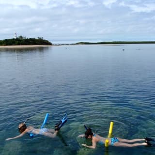 Express Low Isles Reef Sprinter Snorkelling Tour
