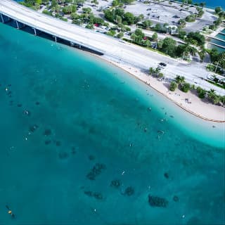 Blue Heron Bridge Guided Snorkel Tour 