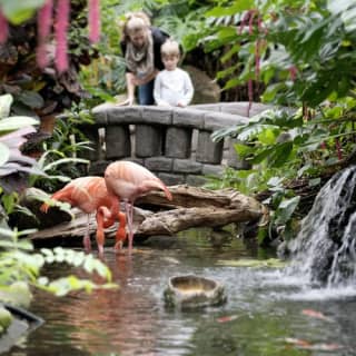 Victoria Butterfly Gardens