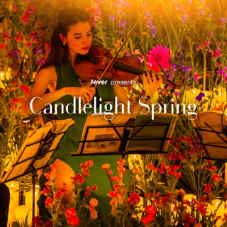 Candlelight Spring: A Tribute to Taylor Swift