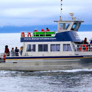 Whale Watching Cruise with Expert Naturalists