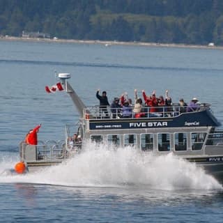 Whale Watching Cruise with Expert Naturalists