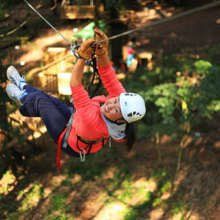 Treetops Adventure: Nowra Park