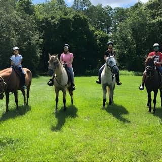 Horseback Ride on Scenic Lake Louisa Trails