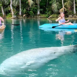 Silver Springs Glass Bottom Kayak Tour!