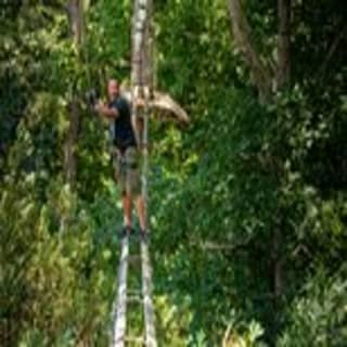 Ziplining and Climbing at The Adventure Park at Virginia Aquarium