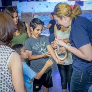 Austin Aquarium