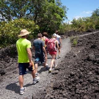 Day sea kayak tour Rangitoto Island