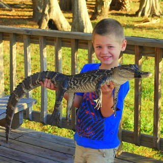 Wild Florida Gator Park Admission