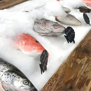 Behind the Scenes of Shem Creek Shrimp Walking Tour