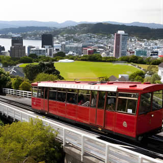 Wellington Shore Excursion City Sightseeing Tour