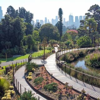 The Explorer - Melbourne Gardens