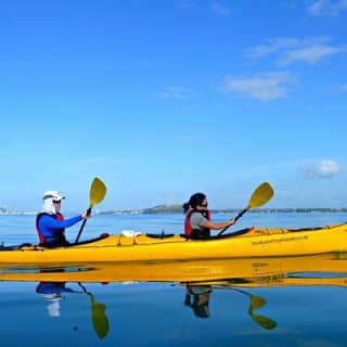 Motukorea . Browns Island Sea Kayak Journey