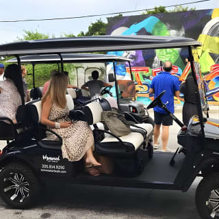 Wynwood Graffiti Golf Cart Small-Group Tour