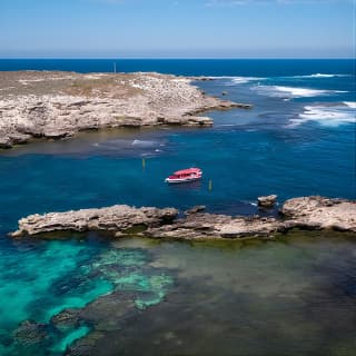 Adventure Rottnest Tour with Ferry & Adventure Cruise