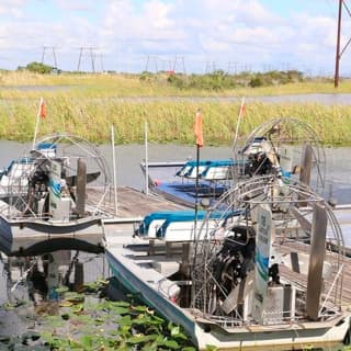 Everglades Airboat Safari