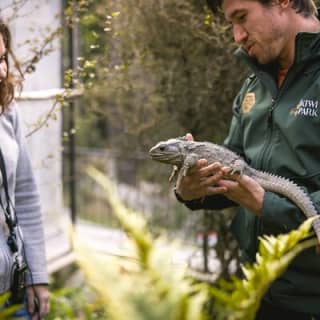 Kiwi Park Queenstown Admission