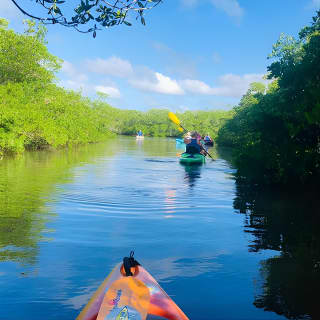 Siesta Key Guided Eco Tour