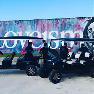 Wynwood Graffiti Golf Cart Small-Group Tour