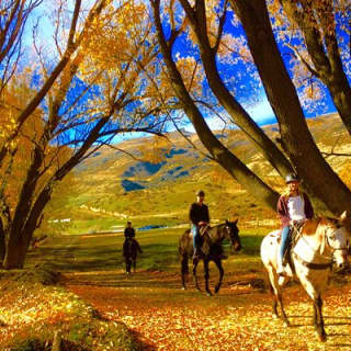 Small-Group Gold Discovery Horse Riding in Cardrona Valley