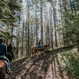 Ridge Ride 2-Hour Horseback Trail Ride in Kananaskis