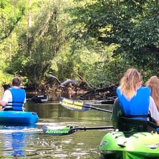 Guided Kayak Eco Tour: Real Florida Adventure