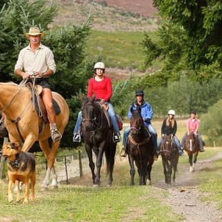 Half Day Walter Peak Horse Trek and Cruise from Queenstown