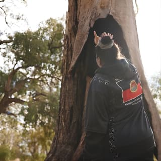 Small-Group River Murray Dark Sky and Sunset Tour with Dinner