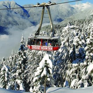 Grouse Mountain Admission Ticket