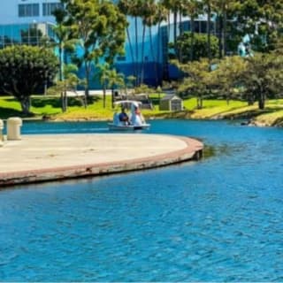 Long Beach Swan Boat Rental at Rainbow Lagoon