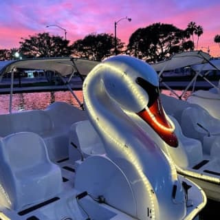 Long Beach Swan Boat Rental at Rainbow Lagoon