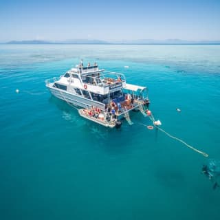 Ocean Freedom Great Barrier Reef Tour