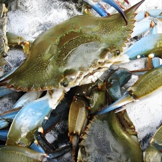 Nature Boat Tour with Certified Naturalist in Charleston