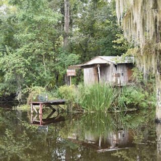 Jean Lafitte Swamp and Bayou Tour