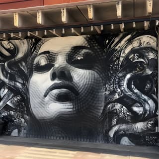 RoRo Street Art Tour in Phoenix